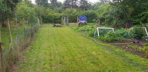 Foto - Garten in Wittenburg zu verpachten