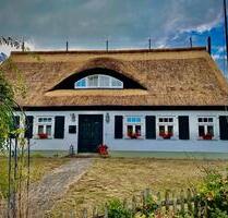 Freistehendes Einfamilienhaus mit Reetdach auf Usedom - Korswandt