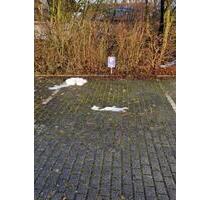 Außenstellplatz - 30,00&nbsp;EUR Miete, in Plattling (PLZ: 94447)