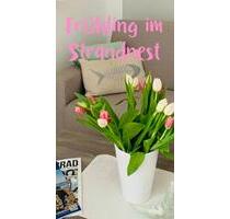 Frühling genießen im ❤️ von Timmendorfer Strand-Ferienwohnung