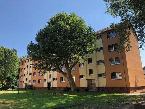 Foto - Demnächst frei! 2-Zimmer-Wohnung in Herne Bickern