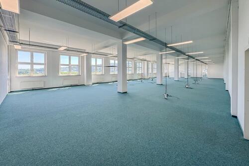 Foto - BÜRO- PRODUKTIONS- LAGERFLÄCHE – 390 m² – STELLPLÄTZE – BARRIEREFREI – LASTENAUFZUG – TEILBAR