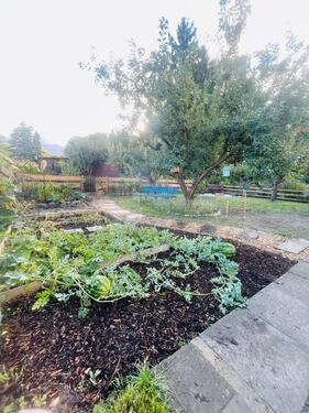 Foto - Garten mit Laube - 3.500,00 EUR Kaltmiete, ca.  0,00 m²