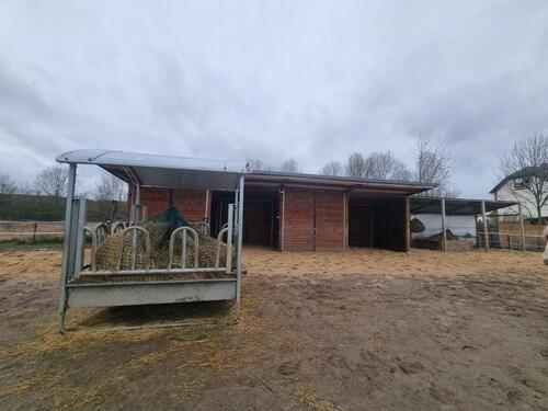 Foto - Einfamilienhaus mit Offenstall in Sanierung
