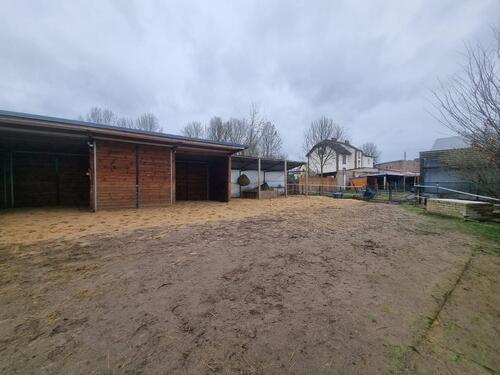 Foto - Einfamilienhaus zum Kaufen in Seelow