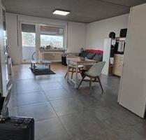 Praktische 1,5 ZKB, mit EBK, möbliert, Behindertengerecht - Frankenthal (Pfalz)