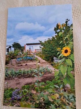 Foto - Garten Neubrandenburg Monkeshof