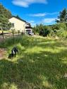 Foto - 6 Zimmer Einfamilienhaus zum Kaufen in Kronach