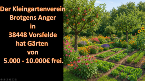 Foto - Kleingärten zur Pacht zu vergeben