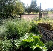 Grundstücke - 500,00&nbsp;EUR Kaltmiete, ca.&nbsp; 0,00&nbsp;m&sup2; in Blankenfelde-Mahlow (PLZ: 15827)