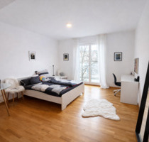 Sehr schöne, große 1-Zimmer-Wohnung in Uni-Nähe - Regensburg Galgenberg