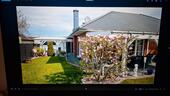 Foto - 3 Zimmer Bungalow zum Kaufen in Oebisfelde-Weferlingen