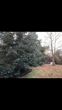 Foto - Garten zu verpachten - 150,00 EUR Kaltmiete, ca.  0,00 m²