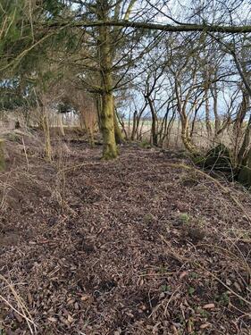 Foto - Grundst&uuml;ck zur Miete in Neuenkirchen