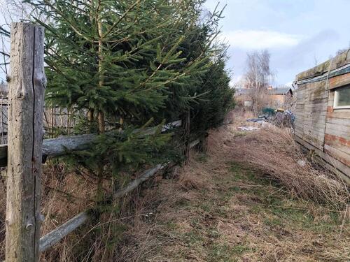 Foto - Grundst&uuml;ck in Neuenkirchen