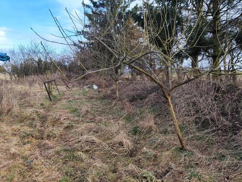 Foto - Grundst&uuml;ck in Neuenkirchen zur Miete