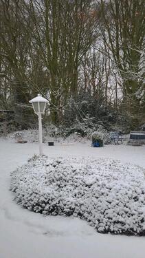 Foto - Souterrainwohnung - 595,00&nbsp;EUR Kaltmiete, ca.&nbsp; 44,00&nbsp;m&sup2;