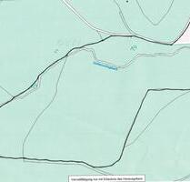 Waldgrundstück mit Weiher - 3,00&nbsp;EUR Kaltmiete, ca.&nbsp; 0,00&nbsp;m&sup2; in Walderbach (PLZ: 93194)