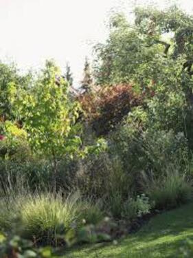 Foto - Garten Heidingsfeld 500 qm - 100,00&nbsp;EUR Kaltmiete, ca.&nbsp; 0,00&nbsp;m&sup2;