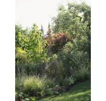 Garten Heidingsfeld 500 qm - 100,00&nbsp;EUR Kaltmiete, ca.&nbsp; 0,00&nbsp;m&sup2; in Würzburg (PLZ: 97082) Steinbachtal