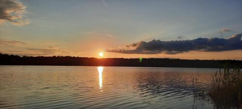 Foto - Stockweiher-Grundstück mit eigenem Steg und Bootsliegeplatz