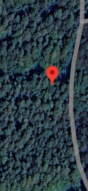 Foto - Waldstück in Lauda Königshofen (0,3 ha)