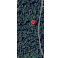 Waldstück in Lauda Königshofen (0,3 ha) - München Maxvorstadt