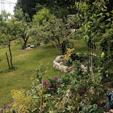Foto - Einfamilienhaus in Ergolding zum Kaufen