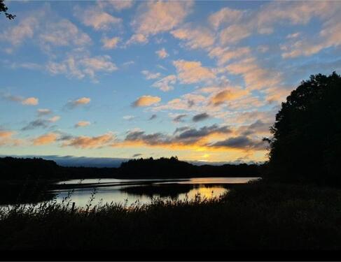 Foto - Etagenwohnung in Hamburg zur Miete