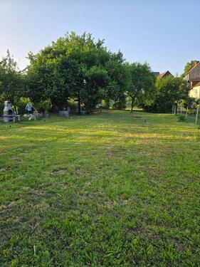 Foto - Garten Eckartshausen Werneck 700qm zum Mieten Wasser Grill Zaun