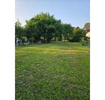 Garten Eckartshausen Werneck 700qm zum Mieten Wasser Grill Zaun - Großrinderfeld