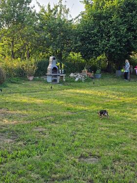 Foto - Grundst&uuml;ck zur Miete in Großrinderfeld