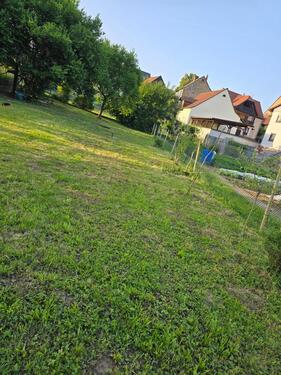 Foto - Grundst&uuml;ck in Großrinderfeld