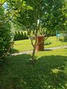 Foto - 8 Zimmer Einfamilienhaus zum Kaufen in Rauhenebrach