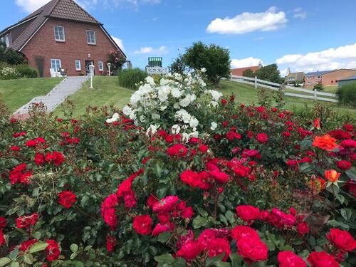 Foto - andere zur Miete in Pellworm