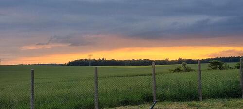 Foto - 1 Zimmer Einfamilienhaus zur Miete in Neubrandenburg