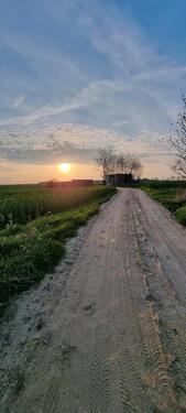 Foto - 1 Zimmer Einfamilienhaus in Neubrandenburg