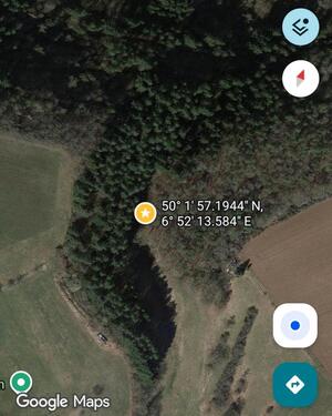 Foto - Verpachte knapp 2.000m² große Waldfläche