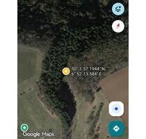 Verpachte knapp 2.000m² große Waldfläche - Osann-Monzel