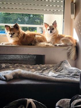 Foto - BITTE Lesen ,UM MITHILFE - 550,00 EUR Kaltmiete, ca.  40,00 m²