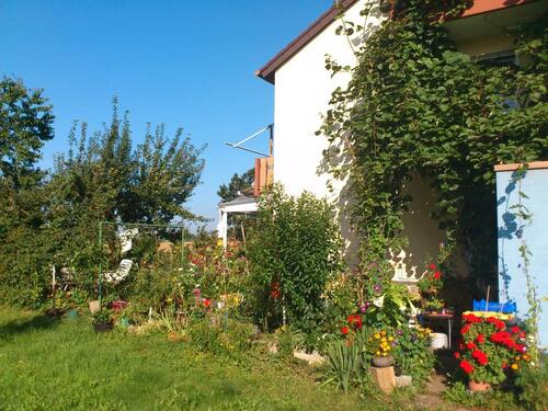 Foto - 1 Zimmer Dachgeschoßwohnung zur Miete in Aichwald