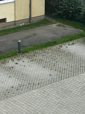 Foto - Parkplatz 50€ - 50,00 EUR Miete,