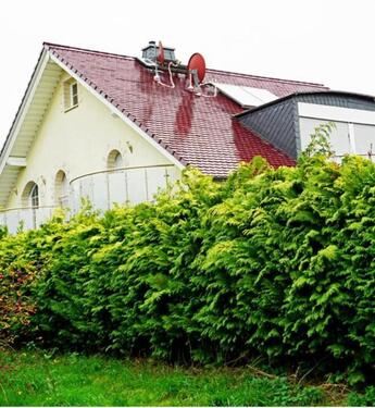 Foto - Modernes freistehendes Einfamilienhaus in Lohfelden