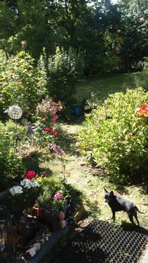 Foto - Nur an privat helle 4Zi.EigentumWg in Berlin Westend