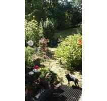 Nur an privat helle 4Zi.EigentumWg in Berlin Westend