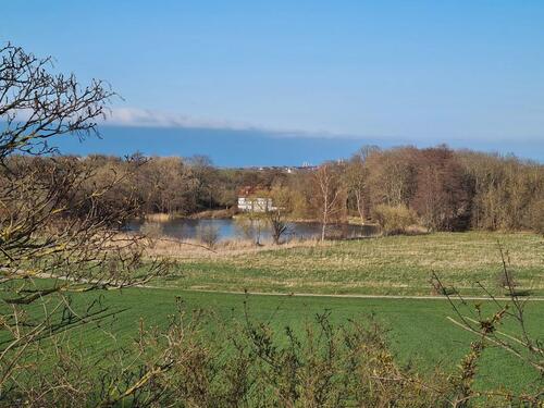 Foto - Grundst&uuml;ck in Blankenburg (Harz)