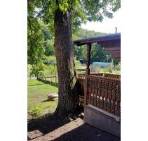 Gartengrundstück mit Stellplatz zu vermieten - Wetzlar Steindorf