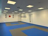 Foto - Praxisraum Trainingsraum Fitnessraum zur Untermiete