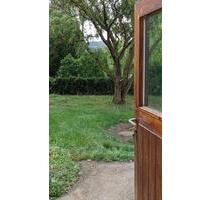 2-Zimmerwohnung mit Gartenzugang in zentraler Lage von Zwesten - Bad Zwesten