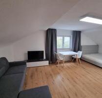 Moderne, renovierte und möblierte 1-Zimmer-Wohnung in Esslingen-Zollberg (ca. 30 m²) - Esslingen am Neckar Pliensauvorstadt